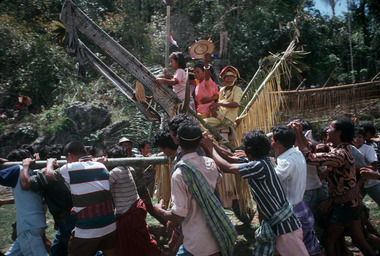 3. Rite of carrying women on a palanquin. Here the tumbang (‘officiated’ woman) can be seen. Mamulle rite, ‘carrying and shaking the palanquins’, Bamba (Deri ), 1993., 3. Rite du port des femmes sur un palanquin. Ici, on voit l'officiée tumbang. Rite mamulle « porter et secouer les palanquins », Deri, 1993 (French), 3. Ritus pengantaran perempuan dengan tandu. Tampak wanita tumbang yang dilantik. Ritus mamulle “membawa dan mengguncang-guncangkan tandu”, Bamba (Deri, Parinding), 1993. (Indonesian) thumbnail