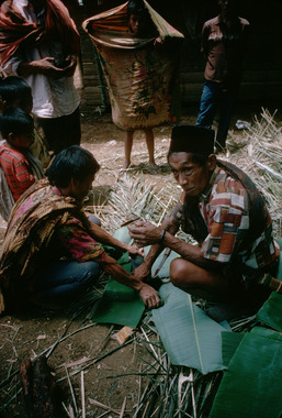Sacrifice de porc par le to mebalun, Randanan, 1993., Pig sacrifice by the to mebalun, Randanan, 1993. (anglais), Penyembelihan babi oleh to mebalun, Randanan, 1993. (indonésien) la vignette
