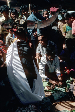 11. Offering to the effigy. Pangleon (Saluputti), 1993., 11. Offrande à l'effigie, Pangleon (canton Saluputti), 1993. (French), 11). Sesajen untuk patung. Pangleon (Kecamatan Saluputti), 1993. (Indonesian) thumbnail