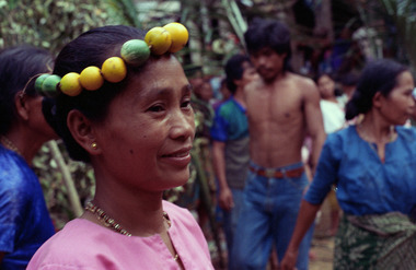 Les fruits tarrung (mélongènes) décorant la tête des danseuses lors du maro., Tarrung (eggplant). (anglais), Buah terung. (indonésien) la vignette