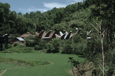 Toraja village, Rindingallo canton, 2001., Village toraja, région Rindingallo, 2001. (French), Kampung Toraja, Kecamatan Rindingallo, 2001  (Indonesian) thumbnail