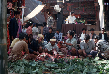 Partage de la viande., Sharing the meat. (anglais), Pembagian daging. (indonésien) la vignette