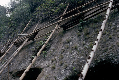 Échelles d'accès aux sépultures, région de Baruppu',1993., Access ladders to the tombs, region of Baruppu', 1993. (anglais), Tangga untuk dapat mencapai makam, Baruppu’, 1993. (indonésien) la vignette