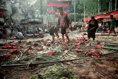 Partage de viande de buffles lors d'une fête funéraire. Région de Tikala, 1993., Meat from buffaloes shared at funeral celebration, Tikala region, 1993. (anglais), Pembagian daging kerbau dalam suatu pesta pemakaman, daerah Tikala, 1993. (indonésien) la vignette