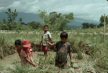Nettoyage des rizières., Cleaning paddy fields. (anglais), Pembersihan sawah (indonésien) la vignette