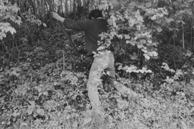 René Marot, 17 ans. Fabrication d'un hautbois d'écorce : coupe d'une branche de noisetier. la vignette