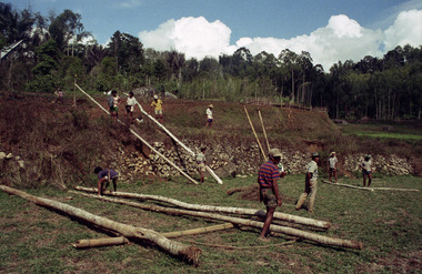 The wood for erecting the platform., Le bois pour l'érection de la plate-forme. (French), Kayu untuk pendirian panggung. (Indonesian) thumbnail