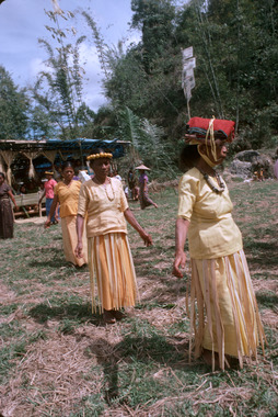 Quatre femmes âgées sont appelées tumbang tua, « les vieilles tumbang ». Une femme d'âge moyen, tumbang muda « la jeune tumbang » vit avec les officiants et doit suivre une série d'interdits alimentaires, deux petites filles limbong bua' et pondok bua', le mari de la tumbang appelé tarruk bua' ou lumbaa, le to ma'patondon etc. ; tous doivent porter des vêtements jaunes. L'officiée tumbang, officiée majeure (avec un tissu sur la tête). Le chant loue l'ascendance de cette femme, la richesse de son village, de sa maison, de l'unité des gens qui font le bua', de ses rizières, des huit puits, de ses enfants., Four old women (tumbang tua). A middle-aged woman (tumbang muda), lives with the officiants and must respect a series of prohibitions; two young girls (limbong bua’ and pondok bua’), the tumbang's husband as tarruk bua’ or lumbaa. They all wear yellow clothing. The ‘officiated’ woman, senior officiated woman (wearing a cloth on her head). The song praises this woman's ancestry, the wealth of her village, her house, the unity of the people celebrating the bua’, her paddy fields, the eight wells. (anglais), Syair ini mengagung-agungkan asal-usul keturunannya, kekayaan kampung halamannya, rumahnya, kesatupaduan para pelaksana bua’, sawah-sawahnya, delapan sumber mata airnya, situasi, dan keturunannya yang tersebar di seluruh dunia. Madah pujian ini merupakan model untuk seluruh pelaksana adat lainnya. (indonésien) la vignette