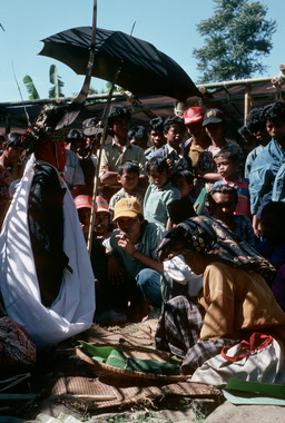 8. Offrande à l'effigie, à Pangleon (canton Saluputti), 1993., 8. Offering to the effigy at Pangleon (Saluputti), 1993. (anglais), 8). Sesajen untuk patung di Pangleon (Kecamatan Saluputti), 1993. (indonésien) la vignette
