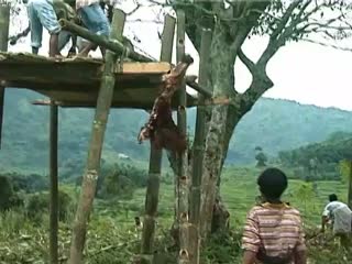VIDEO : Montée sur la plate-forme, premières funérailles de Ne' Sulo à To' Barana', 2000., VIDEO: On top of the platform. To’ Barana’, 2000. (anglais), Naik ke atas geladak, To’ Barana’, 2000. (indonésien) la vignette