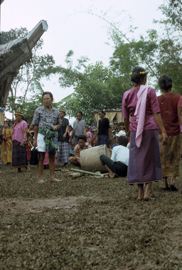 The drum in mud, accompanying the dance gellu’ during the merok ritual at Minanga Ulusalu, Sa'dan Malimbong, 1993., Le tambour dans la boue, accompagnant la danse gellu' lors du merok à Minanga Ulusalu, Sa'dan Malimbong, 1993. (French), Gendang di dalam lumpur, mengiringi tarian gellu’ pada ritus merok di Minanga Ulusalu, Sa’dan Malimbong, 1993. (Indonesian) thumbnail