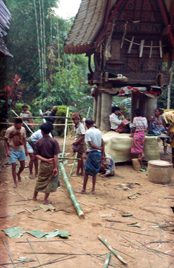 1. Construction d'un mât cérémoniel, Sereale, novembre 1993., 1.Construction of the mast, Sereale, November 1993. (anglais), 1. Pendirian bendera, Sereale, November 1993. (indonésien) la vignette