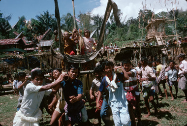 1. Rite du port des femmes sur un palanquin décoré par une paire de cornes de buffles et une tête d'oiseau katik. Au bua' kasalle, les officiées (tumbang, banaa, limbong bua') puis d'autres femmes sont transportées sur des palanquins. Deri, décembre 1993., 1. Rite of carrying women on a palanquin decorated with a pair of buffalo horns and a katik bird's head. At the bua' kasalle, the ‘officiated’ women, followed by other women, are also transported on palanquins. At Deri, December 1993. (anglais), 1. Ritus pengantaran perempuan dalam tandu yang dihias dengan sepasang tanduk kerbau dan sebuah kepala burung katik. Dalam pesta bua’, mereka yang dilantik (tumbang, banaa, limbong bua’) serta wanita lainnya tampak pula diusung dalam tandu-tandu. Desa Deri, Desember, 1993. (indonésien) la vignette