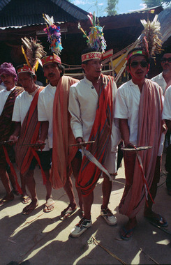 Simbong singers, during a thanksgiving celebration called ma'kurre sumanga’, Tiroan, December 1993., Chanteurs de simbong à Tiroan, décembre 1993, fête de remerciement appelée ma'kurre sumanga'. (French), Para penyanyi simbong di Tiroan, Desember 1993, pesta ucapan syukur ma’kurre sumanga’. (Indonesian) thumbnail