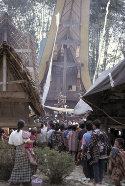 Rituel catholique (ma'kurre sumanga'), Tiroan (Bittuang), 1993., Ma’kurre sumanga’, a Catholic thanksgiving celebration, Tiroan (Bittuang), 1993. (anglais), Bua’ di Tiroan (Bittuang), 1993. (indonésien) la vignette