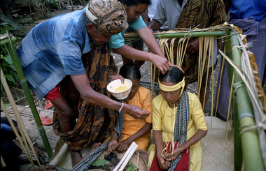 Ne’Sulo pouring rice on the tumbang, Deri., Ne' Sulo versant du riz sur l'officiée tumbang, Deri. (French), Ne’ Sulo menumpahkan beras di atas tumbang, Deri. (Indonesian) thumbnail