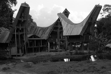 Two houses and a rice granary, Baruppu'., Deux maisons et un grenier à riz, Baruppu'. (French), Dua rumah dengan sebuah lumbung, Baruppu’. (Indonesian) thumbnail
