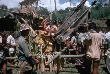 8. Rite du port des femmes sur un palanquin, Deri, 1993., 8. Rite of carrying women on a palanquin. (anglais), 8. Ritus pengantaran perempuan di atas tandu. (indonésien) la vignette