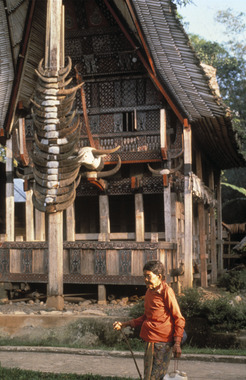 Maison de face, 1993., Front view of house, 1993. (anglais), Tampak depan rumah, 1993. (indonésien) la vignette