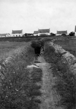 Photographies de l'enquête en Basse-Bretagne de 1939 (Penmarc'h n°184 à 204) (French) thumbnail
